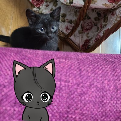 Can(キャン)さんのプロフィール画像