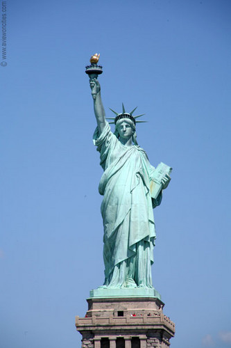 winblazers's profile picture. 