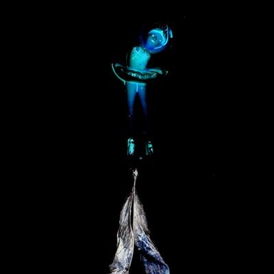 feri_pengok's profile picture. 