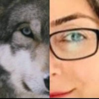 Gül 1919 (@glnc14) 's Twitter Profile