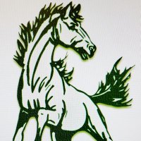 Thomas O'Malley (@tpomalley10) 's Twitter Profile