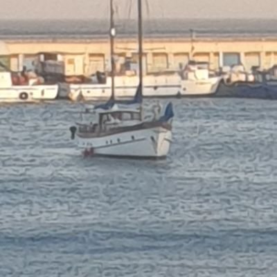 c_gilmartin's profile picture. Siempre libre