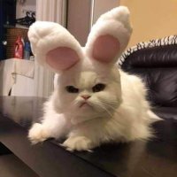 まくを。荒野垢買取^._.^ (@svyne2) 's Twitter Profile Photo まくを。荒野垢買取^._.^ (@svyne2) 's Twitter Profile Photo