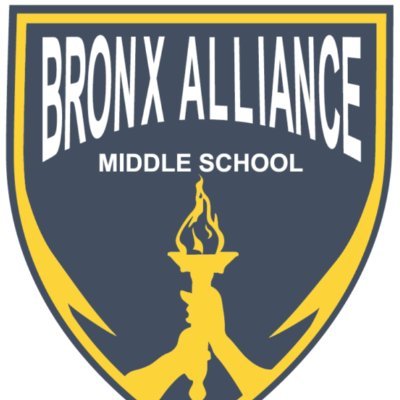 NORTH BRONX ALLIANCE／BEYOND THE MADNESS North Bronx Alliance – Beyond The Madness – CD (Compilation