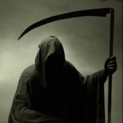 OsignalC's profile picture. Sportwagen und Flugzeuge sind dazu da, um fossile Brennstoffe in puren Spaß zu verwandeln.