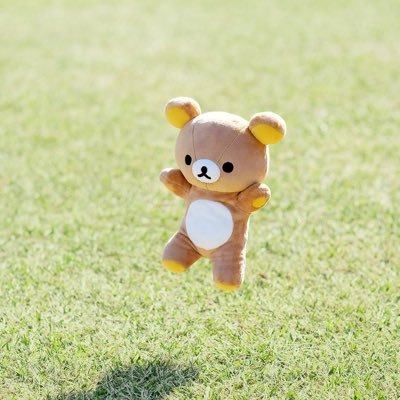 きのさんのプロフィール画像
