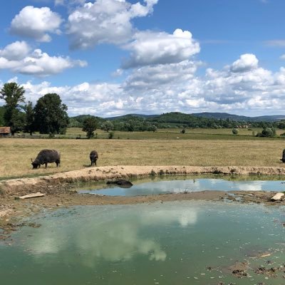 TubaCulosis's profile picture. Zythophile