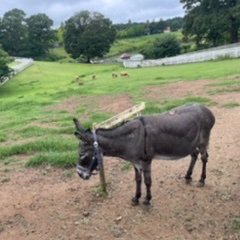 iMtleTw7xcDh6Y2's profile picture. 