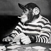 Alistair (@allyal_81) 's Twitter Profile Photo