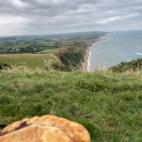 Northern Hatter (@hatternorthern) 's Twitter Profile
