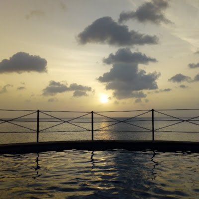 Marisol41776693's profile picture. 