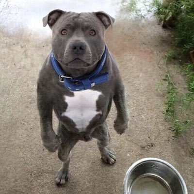 robinatwal16's profile picture. 