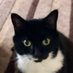 Adam ๐ (@wizardweb) Twitter profile photo Adam ๐ (@wizardweb) Twitter profile photo