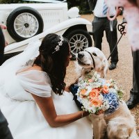 Aadhithya Anbahan (@aadhithya_a) 's Twitter Profile