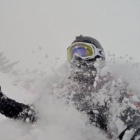 Smitty (@kevinhsmitty) 's Twitter Profile