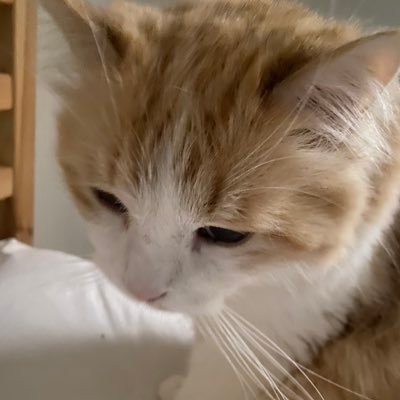 kellylcasado's profile picture. 