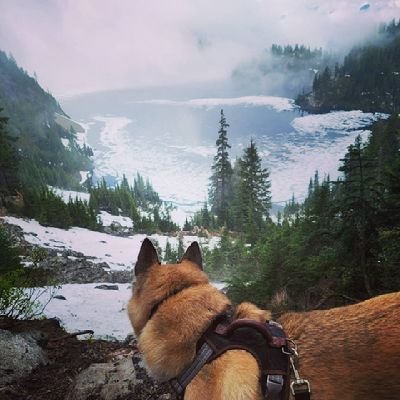 weger_matthew's profile picture. 