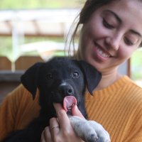 Rebecca Sherbo (@rebecca_sherbo) 's Twitter Profile