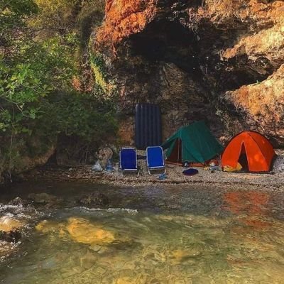 ChahloulC's profile picture. Business