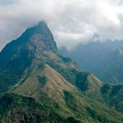 AliShei37327115's profile picture. 