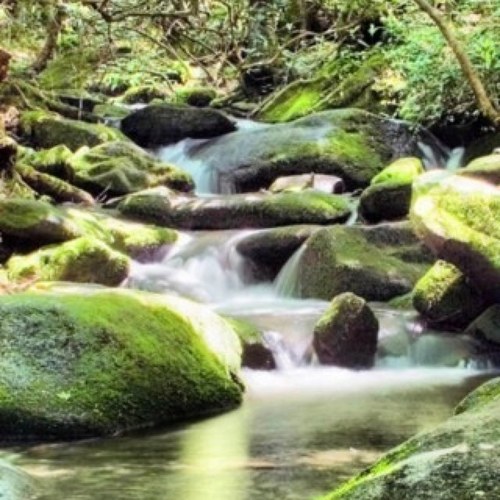 Almowanas's profile picture. اللهم اغفر لي ولوالدي