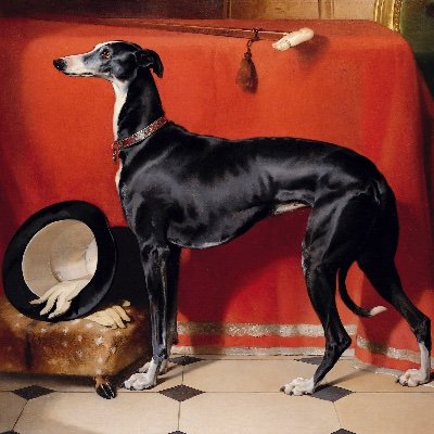 👑 royal gossip enthusiast. greyhound/sighthound fan. love all animals. 🐾 simpsons aficionado. 🍩 may be a hockey fan. 🏒