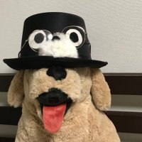 ワンコ教授!🐶(@Prof_Cikawanco) 's Twitter Profile Photo