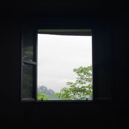 JianiLjn's profile picture. 无聊人类