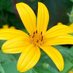 OSU Marion Prairie (@osumprairie) Twitter profile photo OSU Marion Prairie (@osumprairie) Twitter profile photo