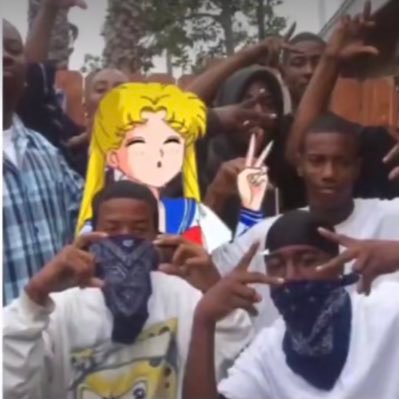 josueelizondo16's profile picture. RIP Candice fly high 🕊