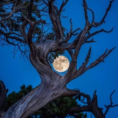 Noticias Noticias Lo último Deportes Televisión Televisión Internacional Televisión Nacional Tecnología Astrología Salud