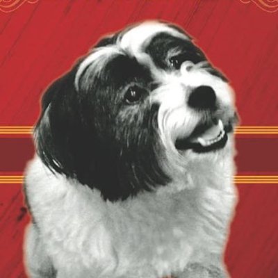 Author of bestselling book: Romancing the Dog, the Struggle to Make a Pound Dog Happy in Beverly Hills. Rescue dog and Tibetan Terrier enthusiast.