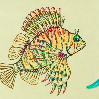 lionfish248's profile picture. 49代黒組アーチC
→浪
