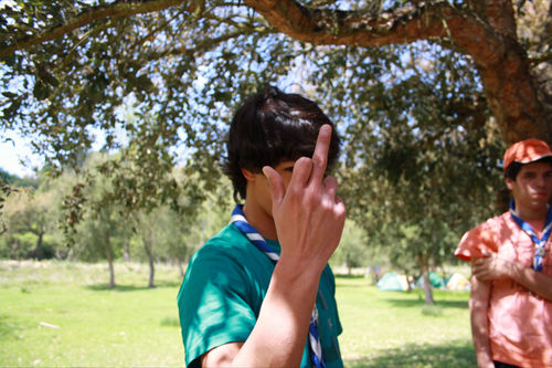 joaomarques1234's profile picture. 