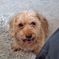 graham grocock (@grahamng259) 's Twitter Profile