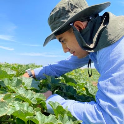 Agrónomo Parasitologo 👨🏽‍🌾 Research & Development 🌾 Guadalajara 📌 crop protection & biostimulation 👨🏽‍🔬🍅🐛 cycling, swimming 🚵🏽‍♂️🏊🏽‍♂️