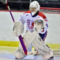 Callum Tung (@callumtung) 's Twitter Profile