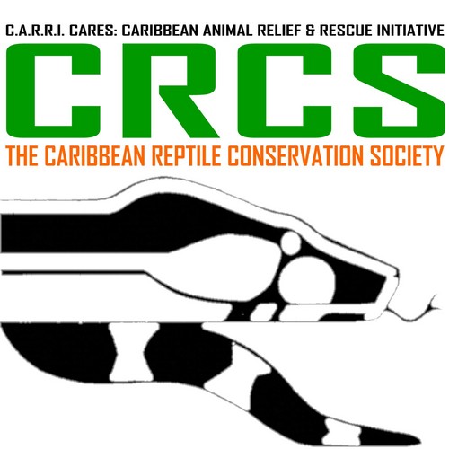 Caribbean Reptile Conservation Society: Reptiles are a fascinating, important and vital component of Caribbean ecosystems; and they need our protection.