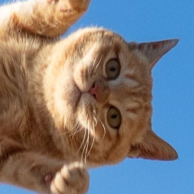 SuantaC's profile picture. Admin of @cryptosanthoshg || For admin work use only ||
Recently suspended and reached 5000 following. Moved to @Luckybanggarrs