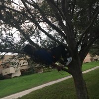 Zÿ The Guÿ (@z_clout) 's Twitter Profile