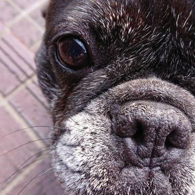 petrichor_2631's profile picture. 