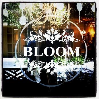 Bloom is a Boutique offering on-location bridal hair and makeup, mink eyelash extensions, spa and salon in Willow Glen! Home of Bloom Bombshell Makeup!!!