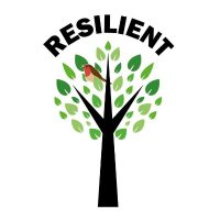 Resilient NW CIC(@resilient_nw) 's Twitter Profile Photo