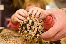 An outdoor, #forestschool style community playgroup for pre-schoolers. Love nature, nature crafts, and creative, messy play for children.