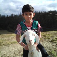 Zaidu(@Zaidkhan_06) 's Twitter Profile Photo