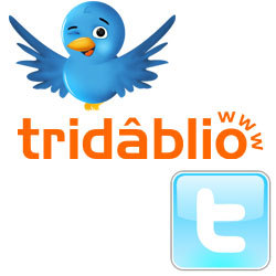 tridablio's profile picture. Sites profissionais a baixo custo, com gestor de conteúdo e otimizado para SEO