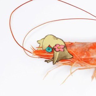 shuichikinnnnie's profile picture. •авторка этого чудеснейшего юпа: @lugnarly •основа: @tellemnaeggggi