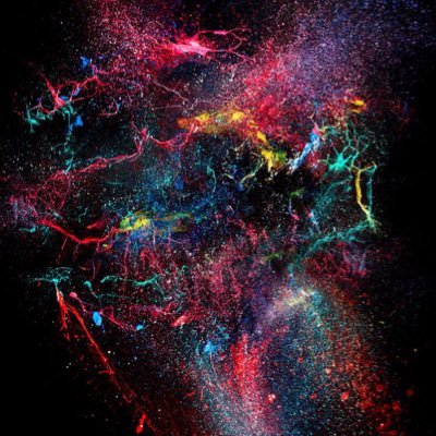 anudflower's profile picture. MOA, ARMY, ENGENE, STAY, ATINY, and MYDAY