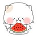 羽 (@hanedasu) Twitter profile photo 羽 (@hanedasu) Twitter profile photo