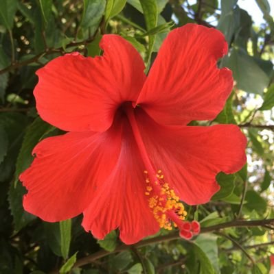 jJJniY226eRWZ1G's profile picture. ダビマスゆるっとやっとります。